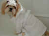 Luxurious Dog Robe