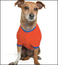 Baby Rib Dog T 